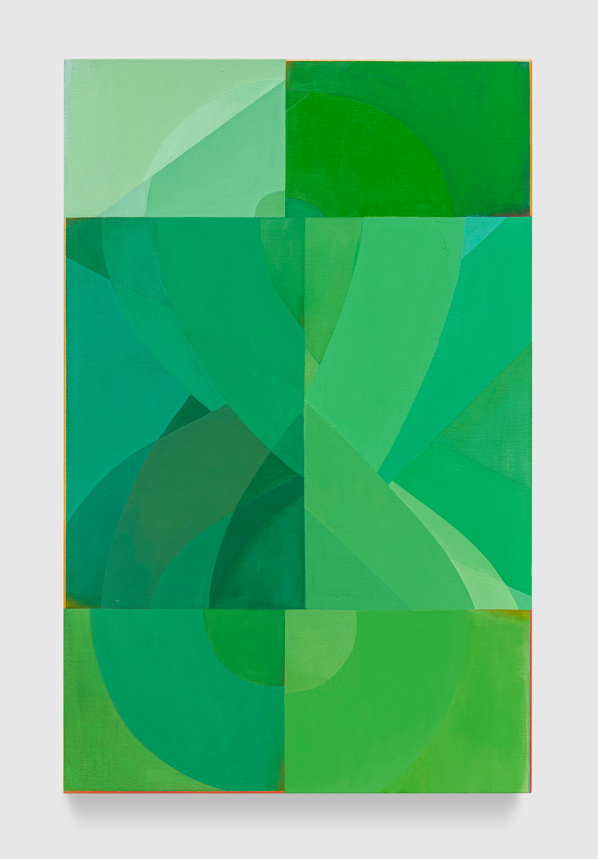 Mechanisms of the Subtle Body by Nathlie Provosty