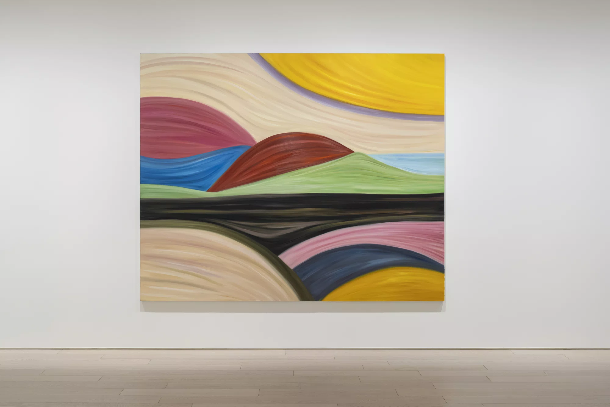 Installation view of Marina Perez Simão in Tokyo