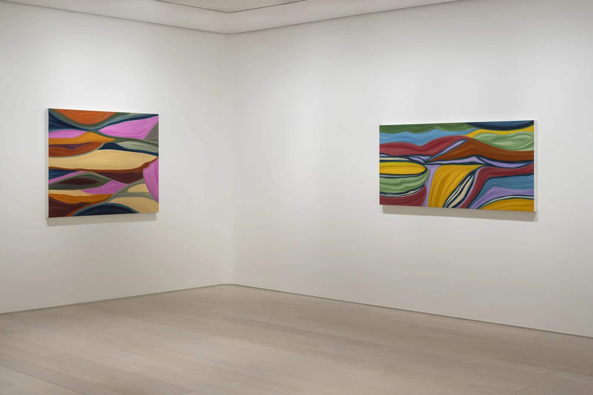 Installation view of Marina Perez Simão in Tokyo