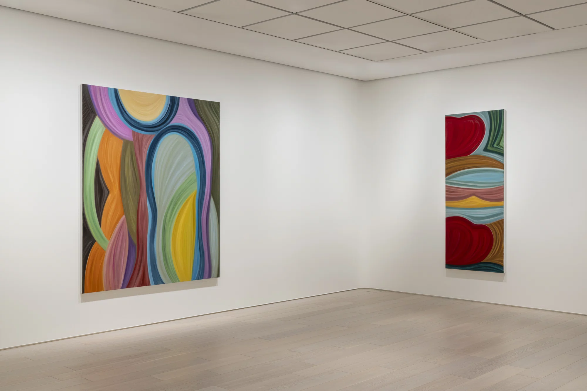 Installation view of Marina Perez Simão in Tokyo