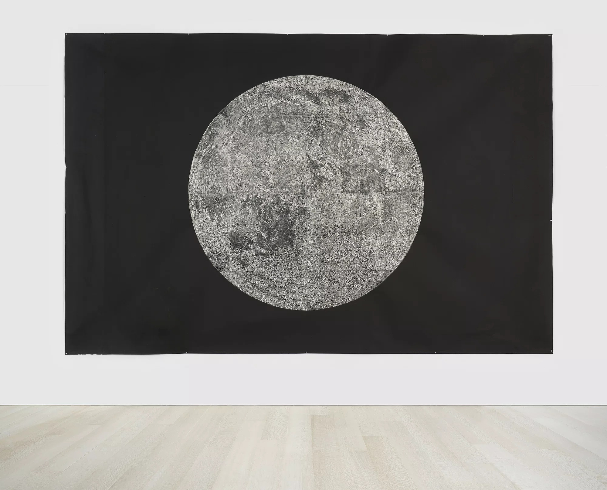 Wooden Moon by Kiki Smith