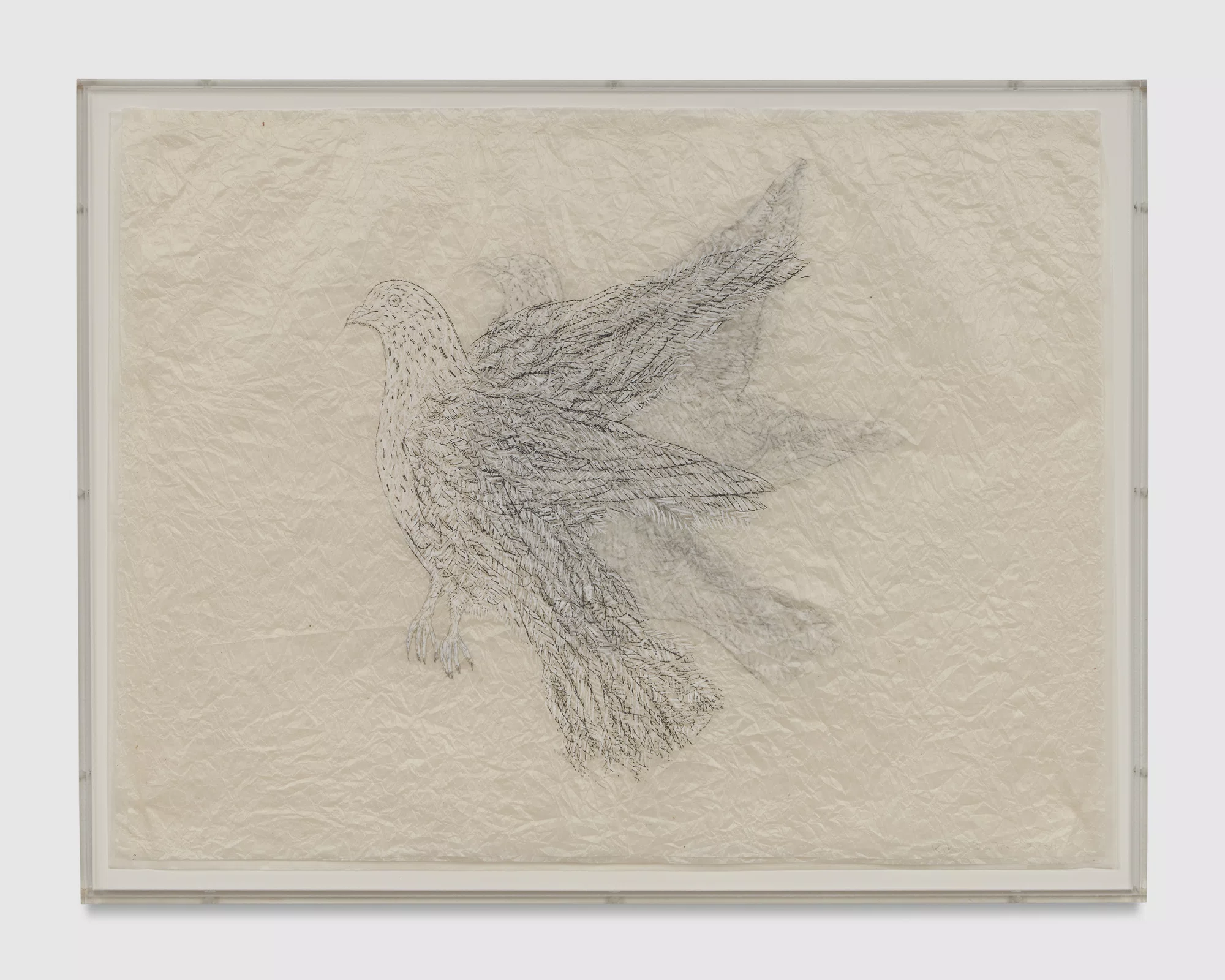 Shadow Drawing September by Kiki Smith