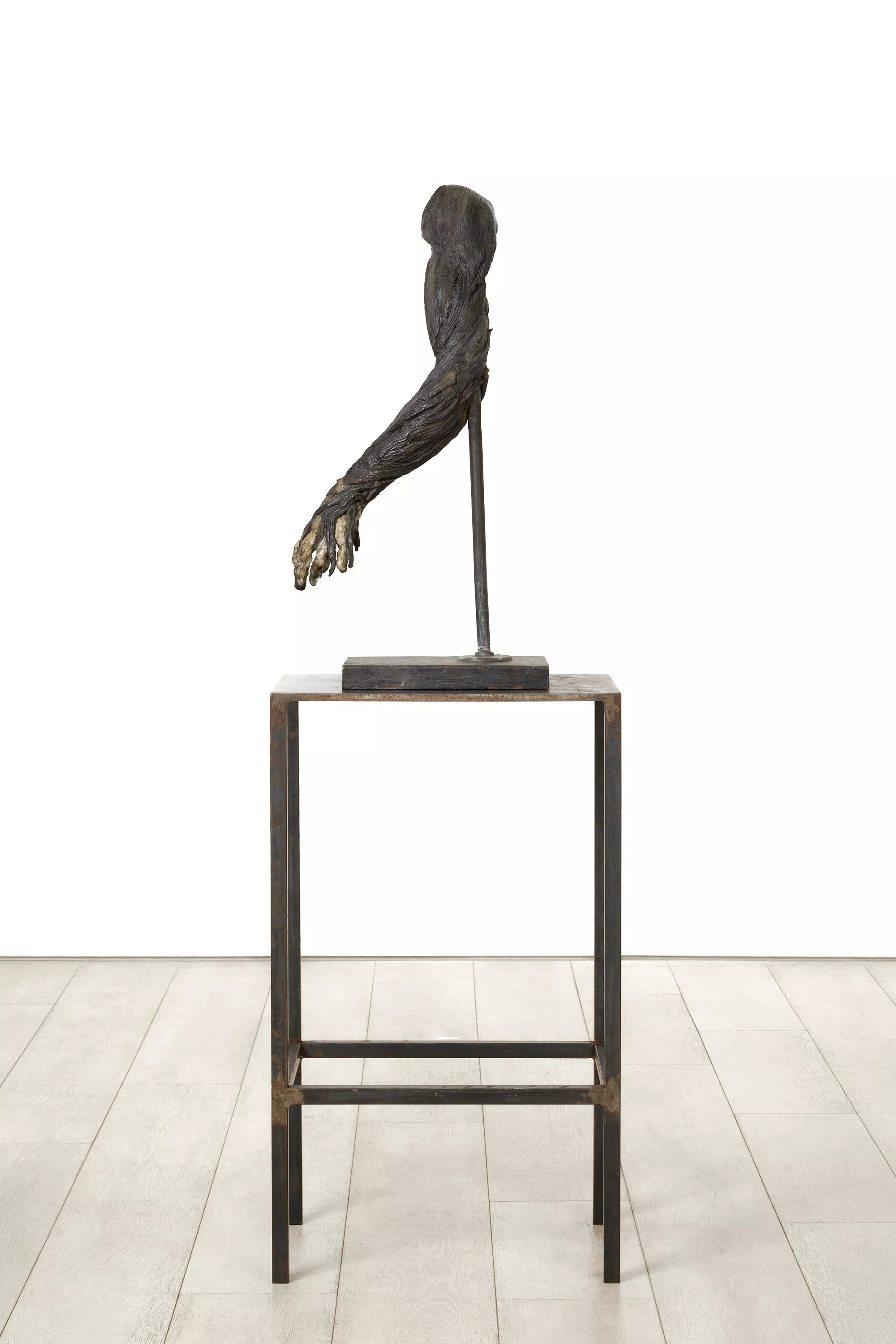 Untitled (Meat Arm) by Kiki Smith