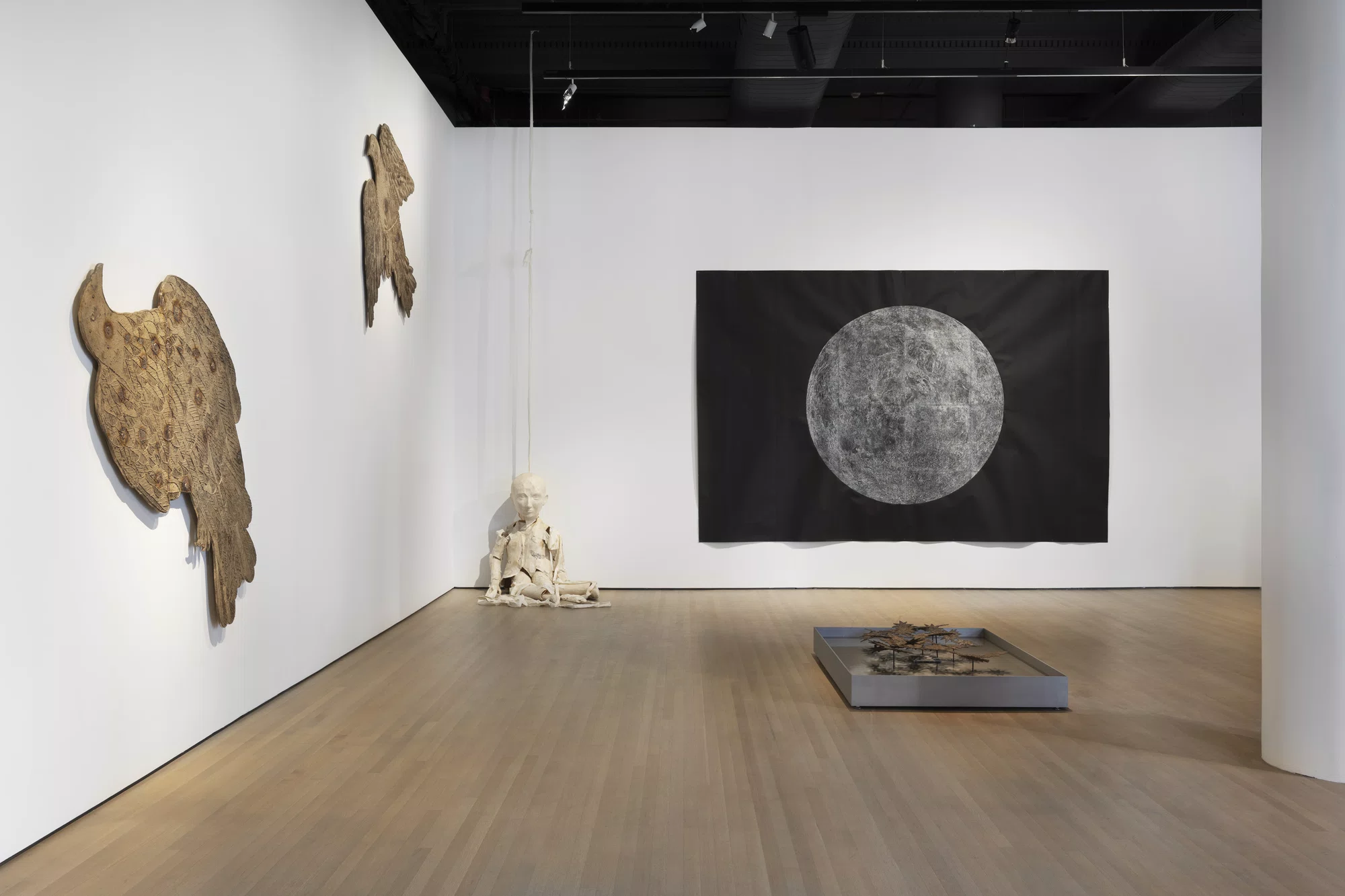 Installation view of The Moon Watches the Earth by Kiki Smith