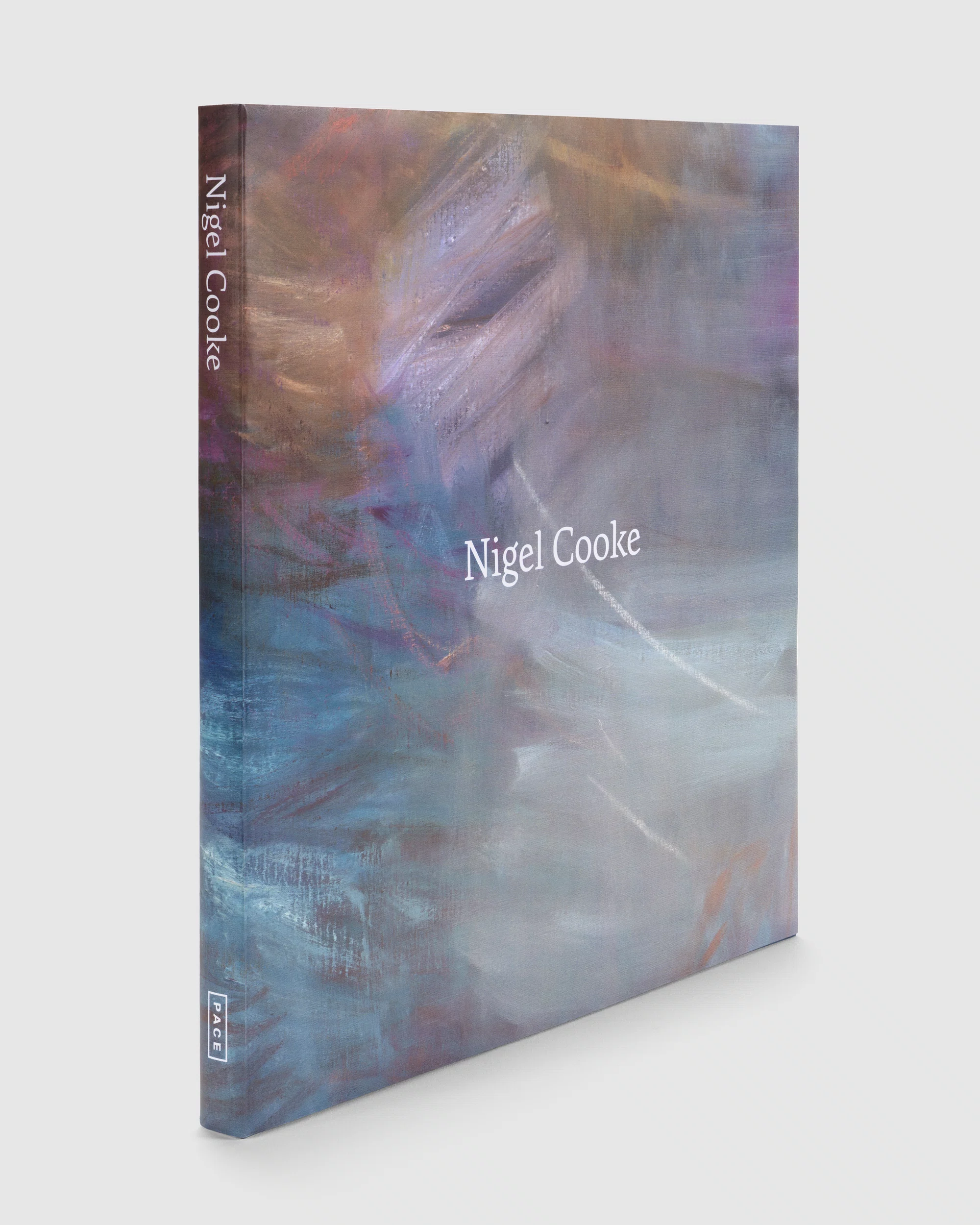 Cover of Nigel Cooke: Paintings 2019-2025
