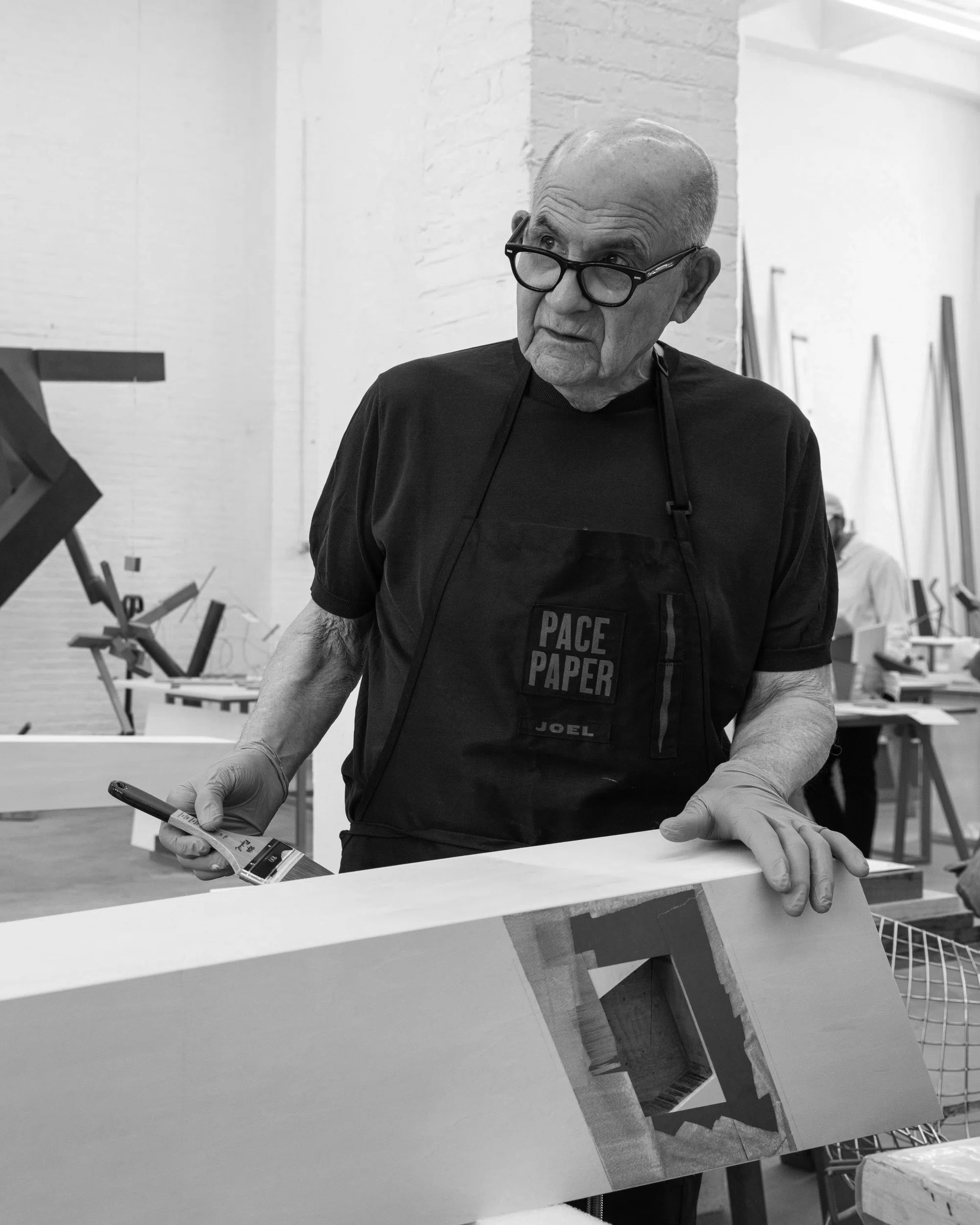 Portrait of Joel Shapiro